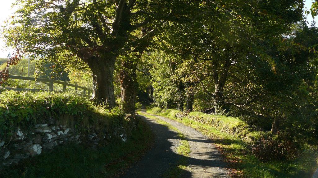 Roberts' Cottage Westport Bagian luar foto