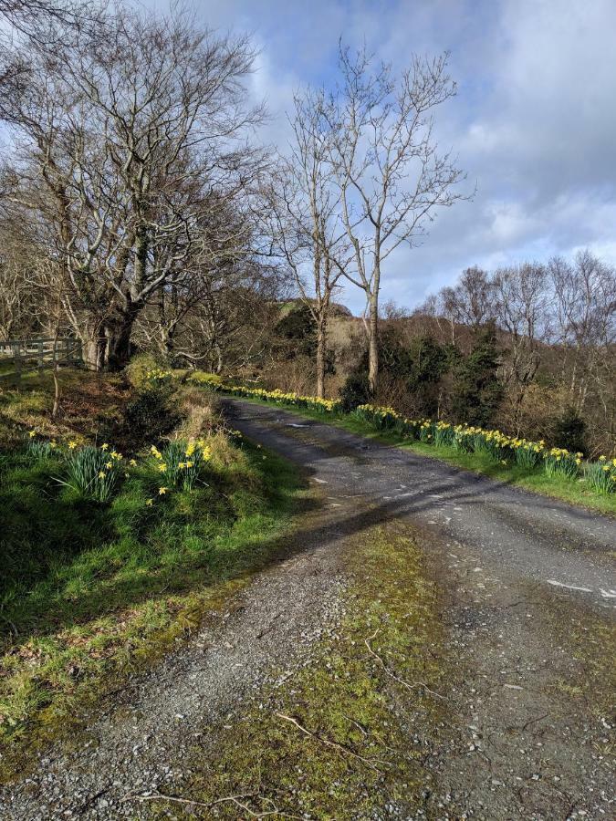Roberts' Cottage Westport Bagian luar foto